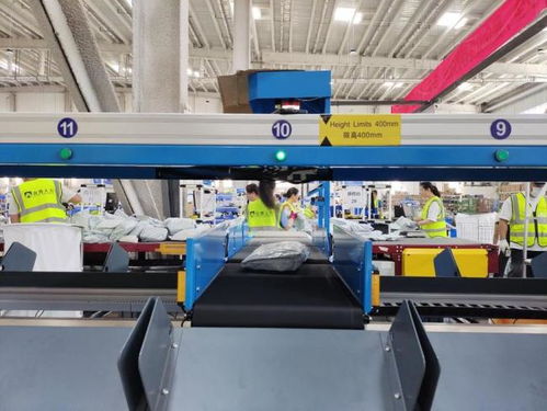 資訊 山(shān)東(dōng)頻(pín)道(dào) 中華網